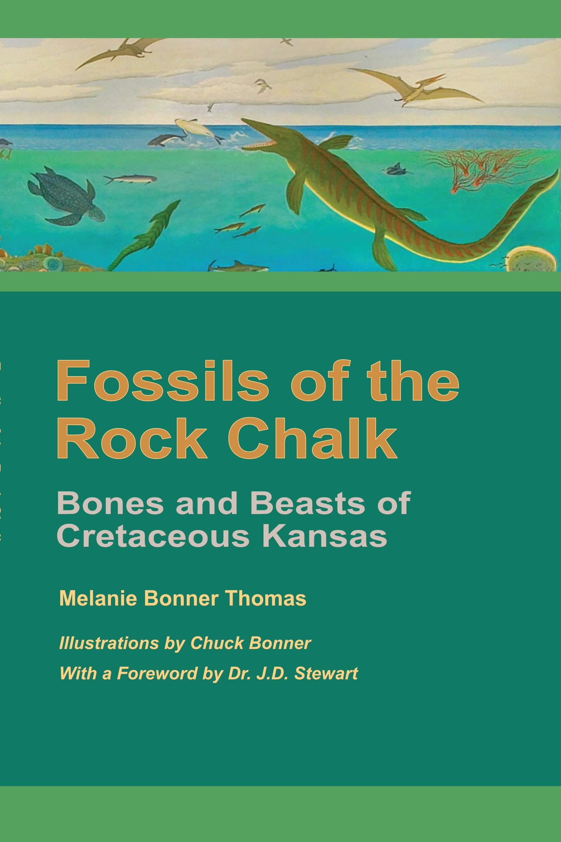 Fossils of the Rock Chalk book cover